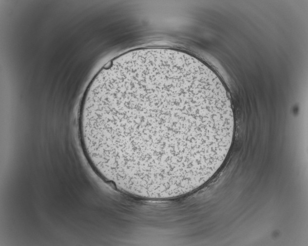 X0000116761483201001141419