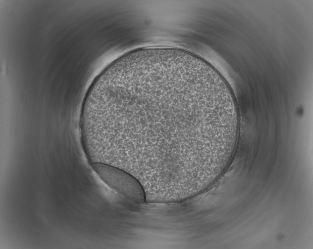 X0000116761485201001141419