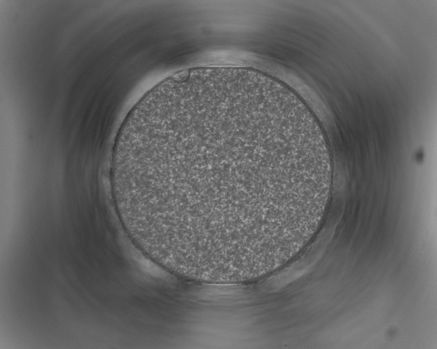 X0000116761486201001141419