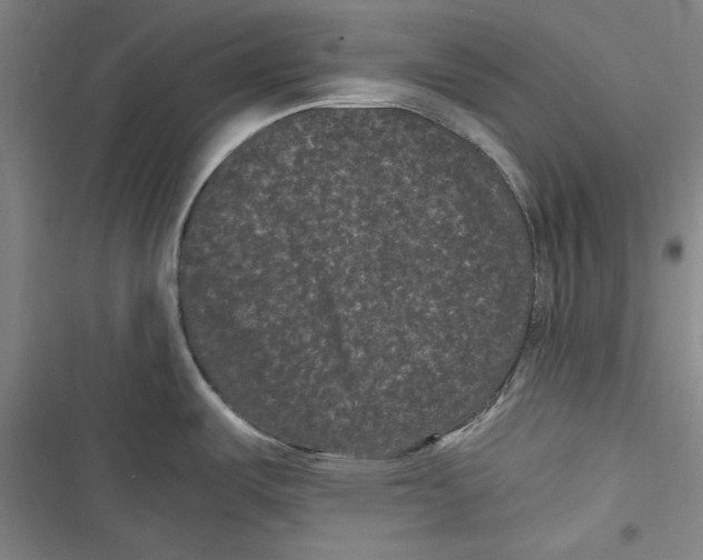 X0000116761487201001141419