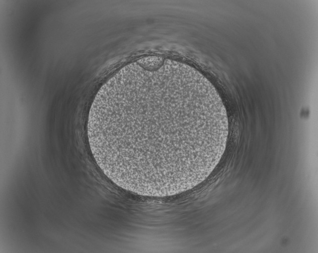 X0000116761489201001141418