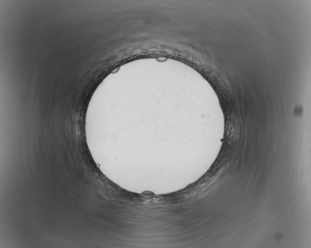 X0000116761490201001141418