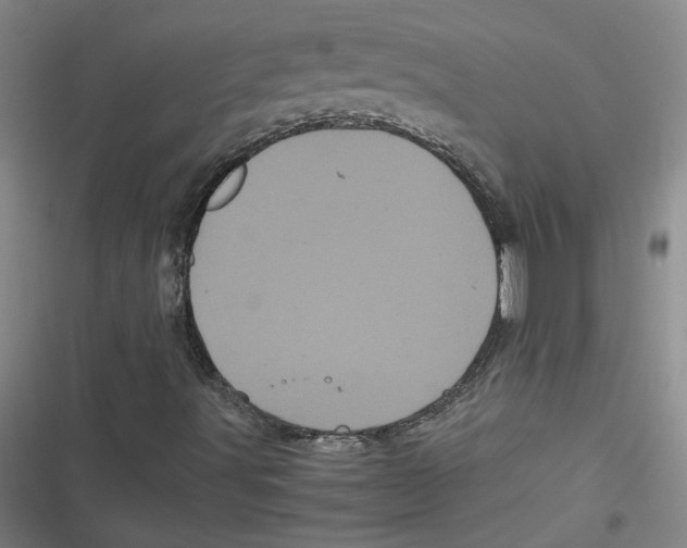 X0000116761491201001141418