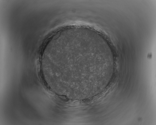 X0000116761493201001141418