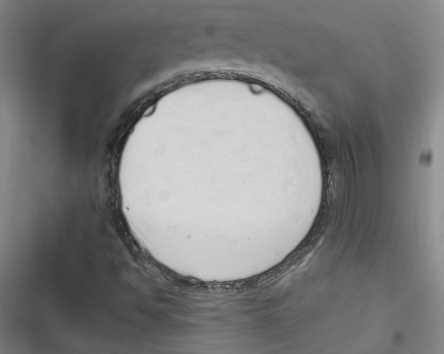 X0000116761494201001141418