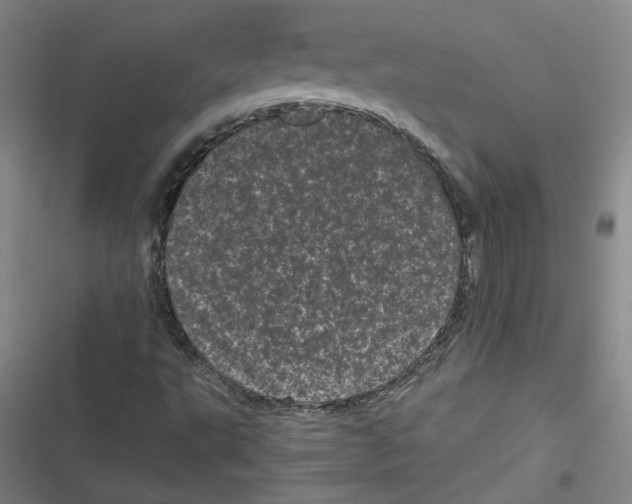 X0000116761495201001141418