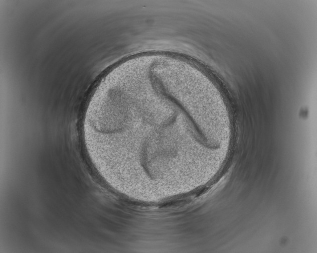 X0000116761497201001141418