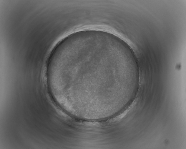 X0000116761498201001141418