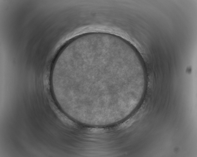 X0000116761499201001141418