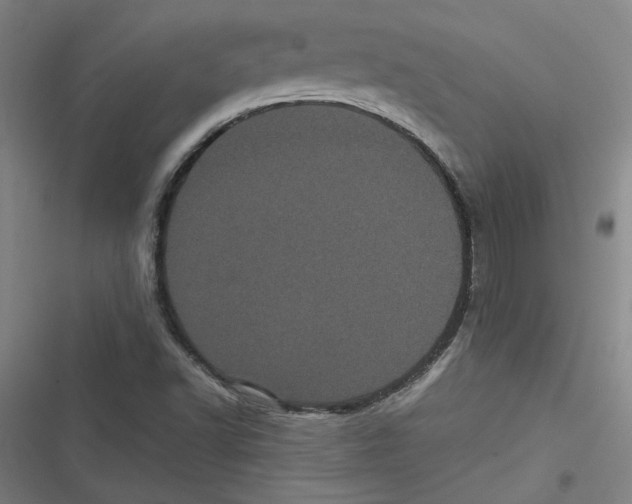 X0000116761502201001141418