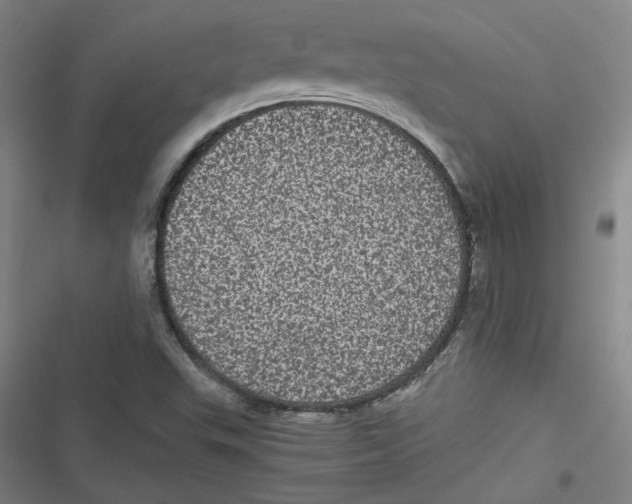 X0000116761503201001141418