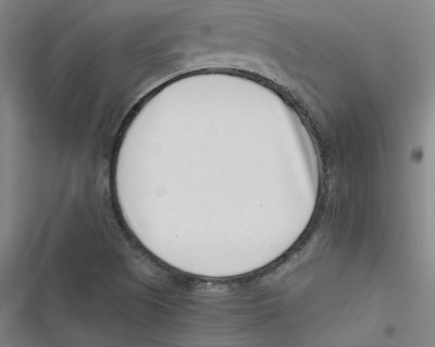 X0000116761505201001141418