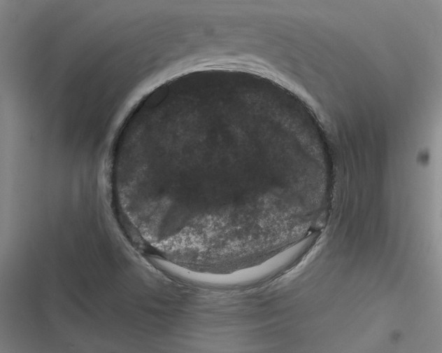 X0000116761506201001141418