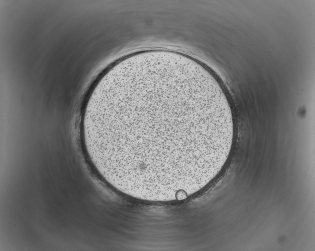 X0000116761507201001141418