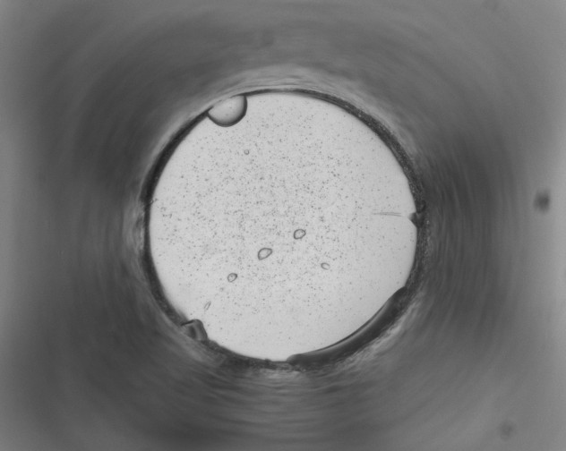 X0000116761509201001141418