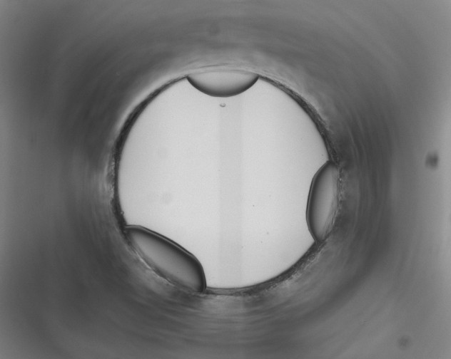 X0000116761510201001141418