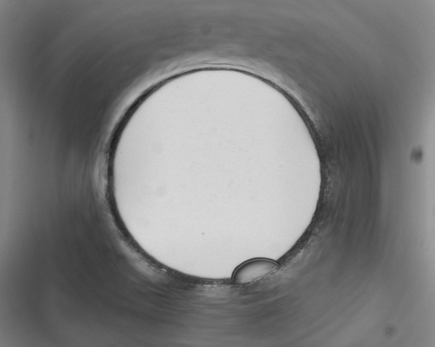 X0000116761511201001141418