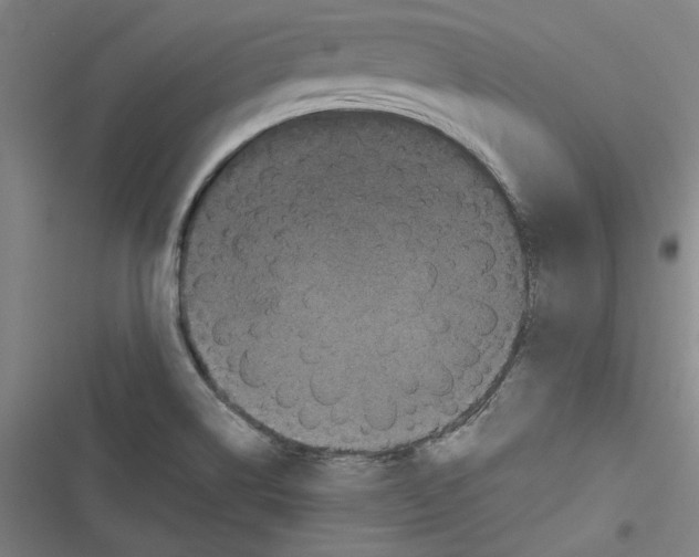 X0000116761514201001141419