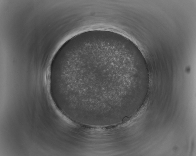 X0000116761515201001141419