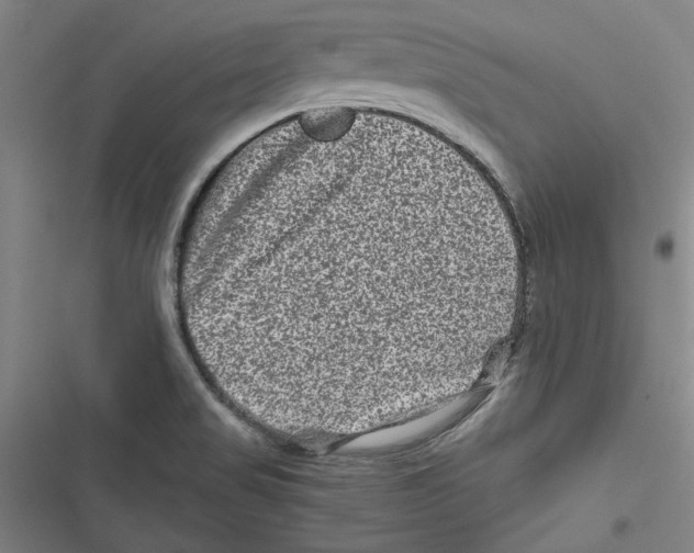 X0000116761517201001141419