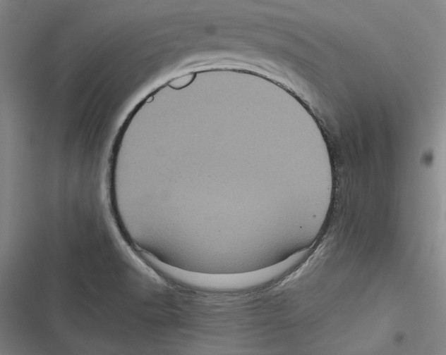 X0000116761518201001141419