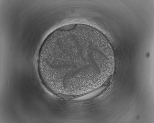 X0000116761519201001141419