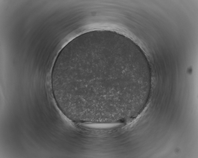 X0000116761521201001141419