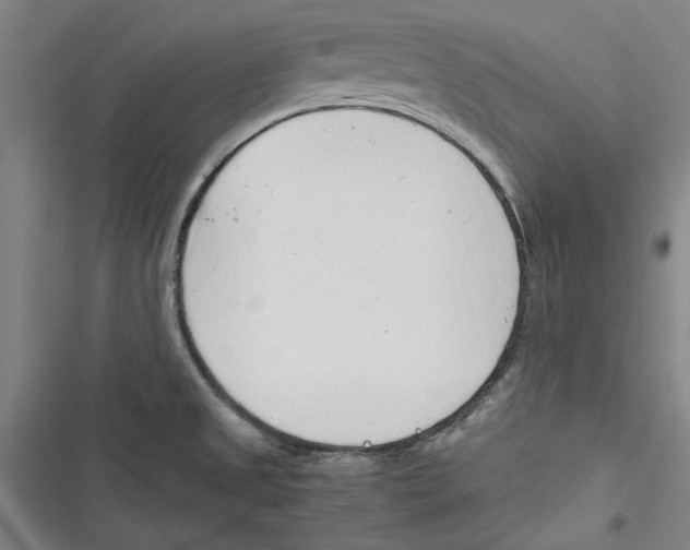 X0000116761525201001141419