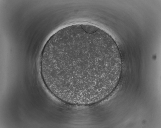 X0000116761526201001141419