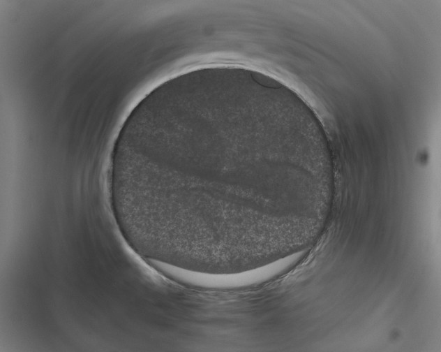 X0000116761527201001141419