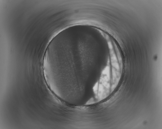 X0000116761529201001141419