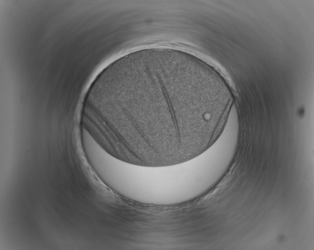 X0000116761530201001141419