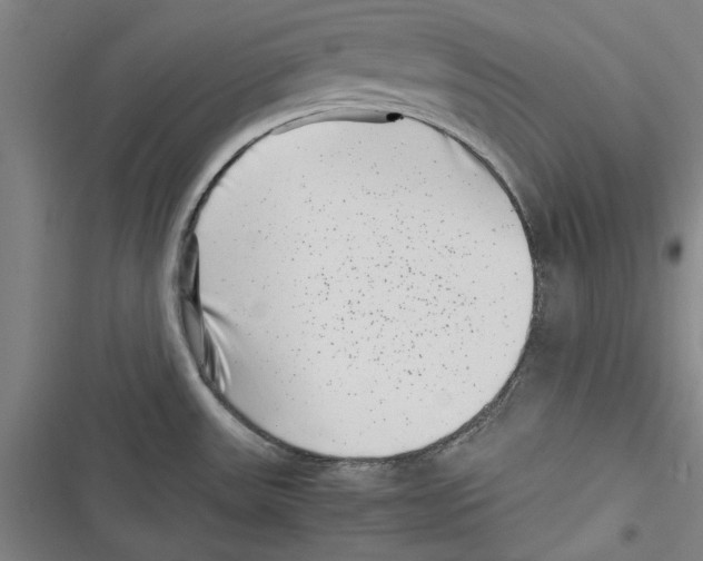 X0000116761531201001141419