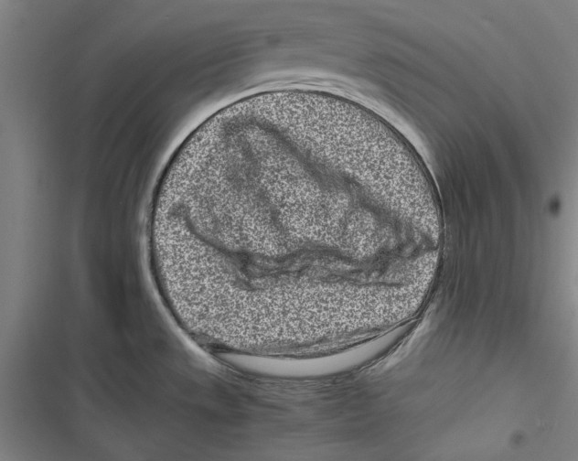 X0000116761533201001141419