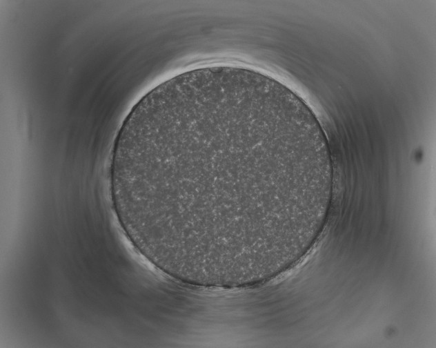 X0000116761534201001141419