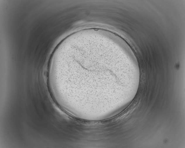 X0000116761535201001141419