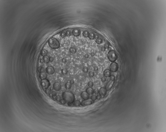 X0000116760001201001281621