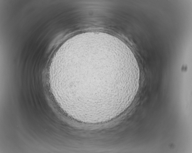 X0000116760002201001281621