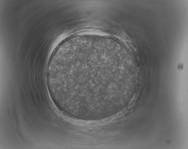 X0000116760003201001281621