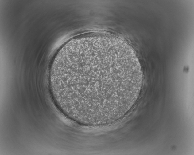 X0000116760005201001281621