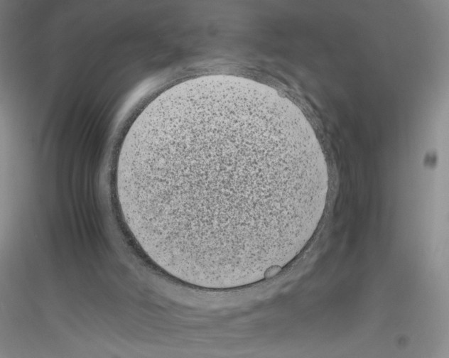 X0000116760006201001281621