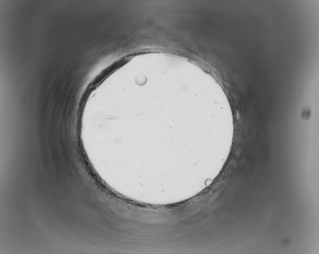 X0000116760008201001281621