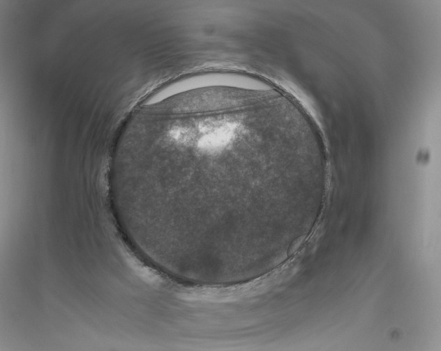 X0000116760009201001281621