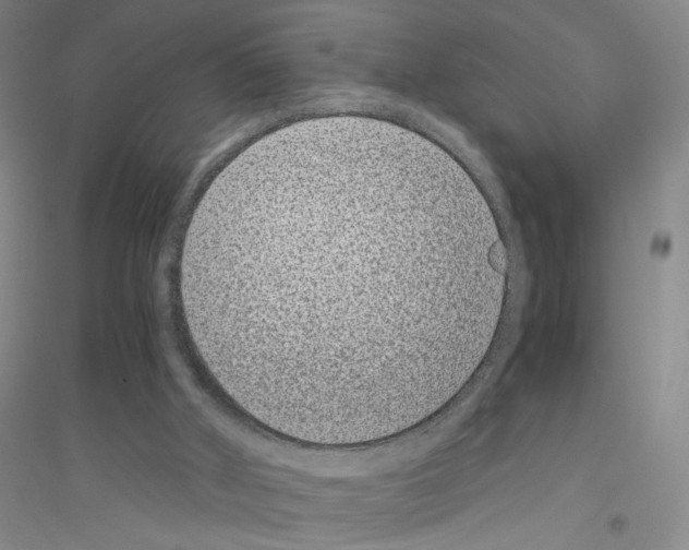 X0000116760010201001281621