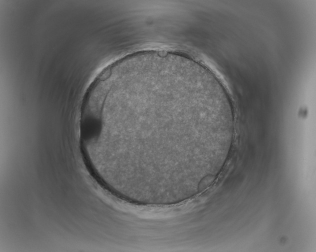 X0000116760011201001281621