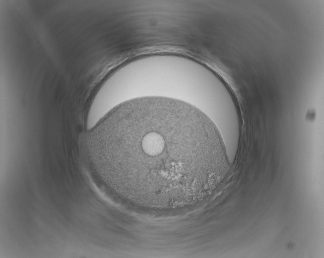 X0000116760013201001281621