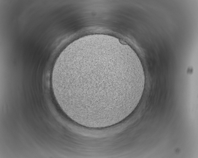 X0000116760014201001281621