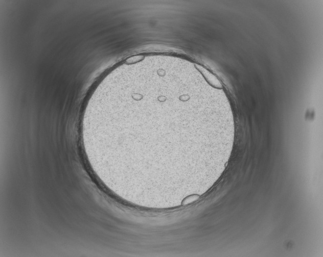 X0000116760015201001281621