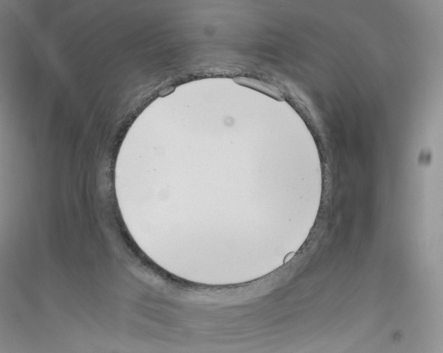 X0000116760017201001281621