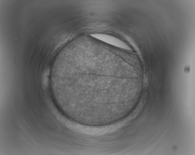 X0000116760018201001281621